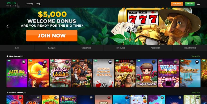 Wildrobin casino spiele, wildrobin casino login